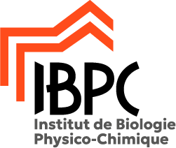 IBPC
